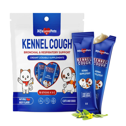 Kennel Cough
