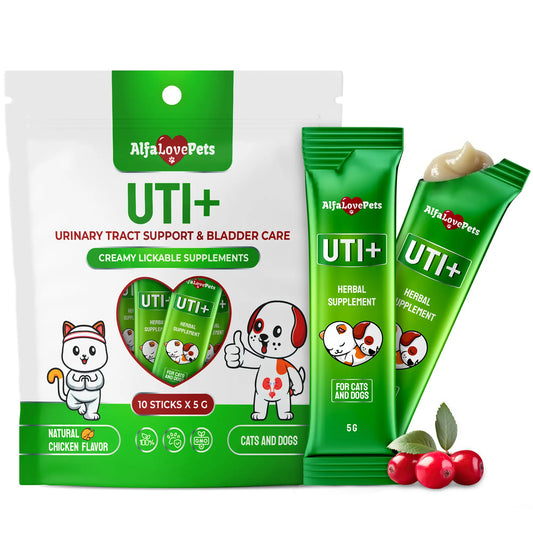 UTI+ Urinary Support