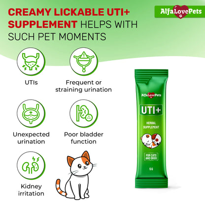 UTI+ Urinary Tract Support for Cats