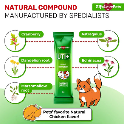 UTI+ Urinary Support