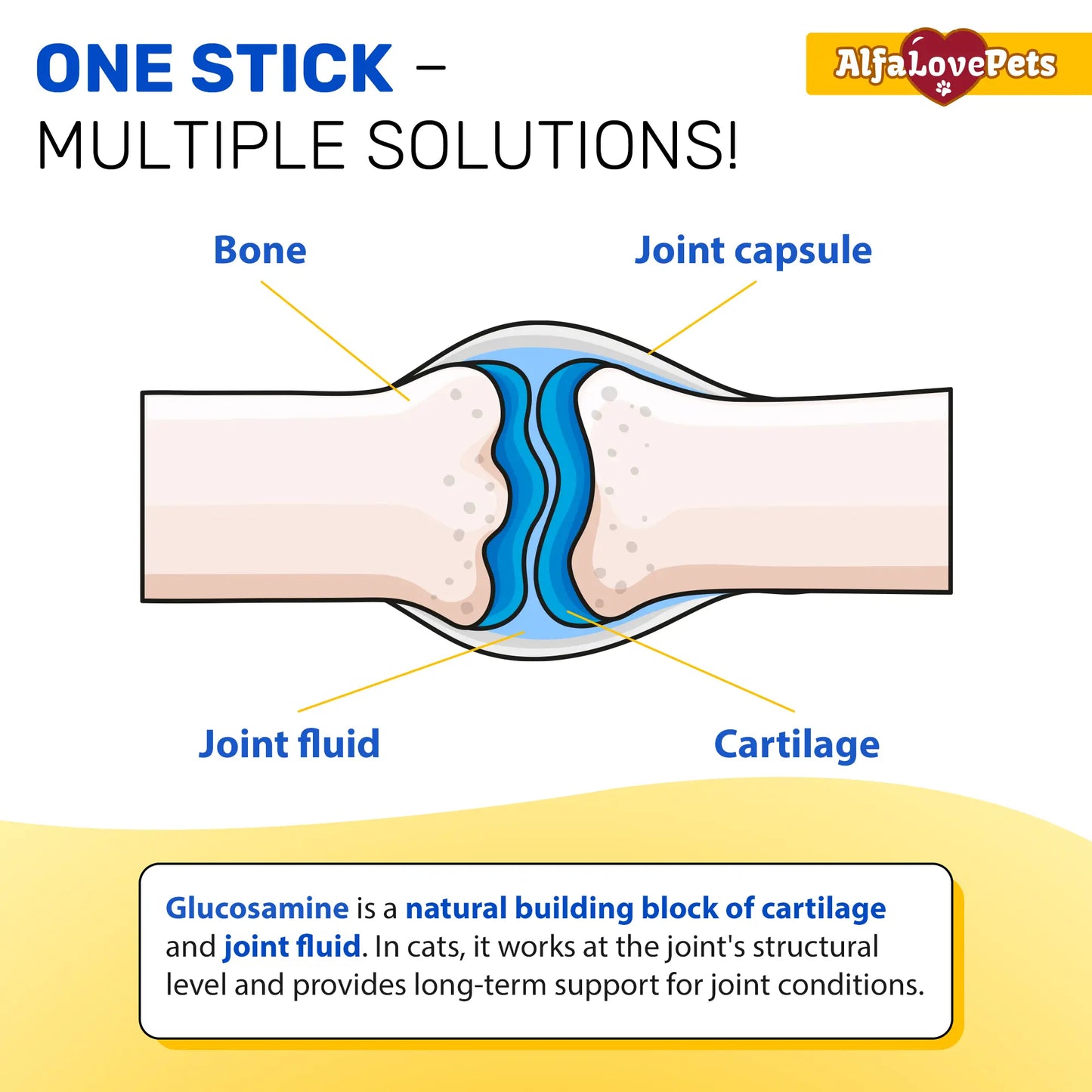 Glucosamine Joint Support