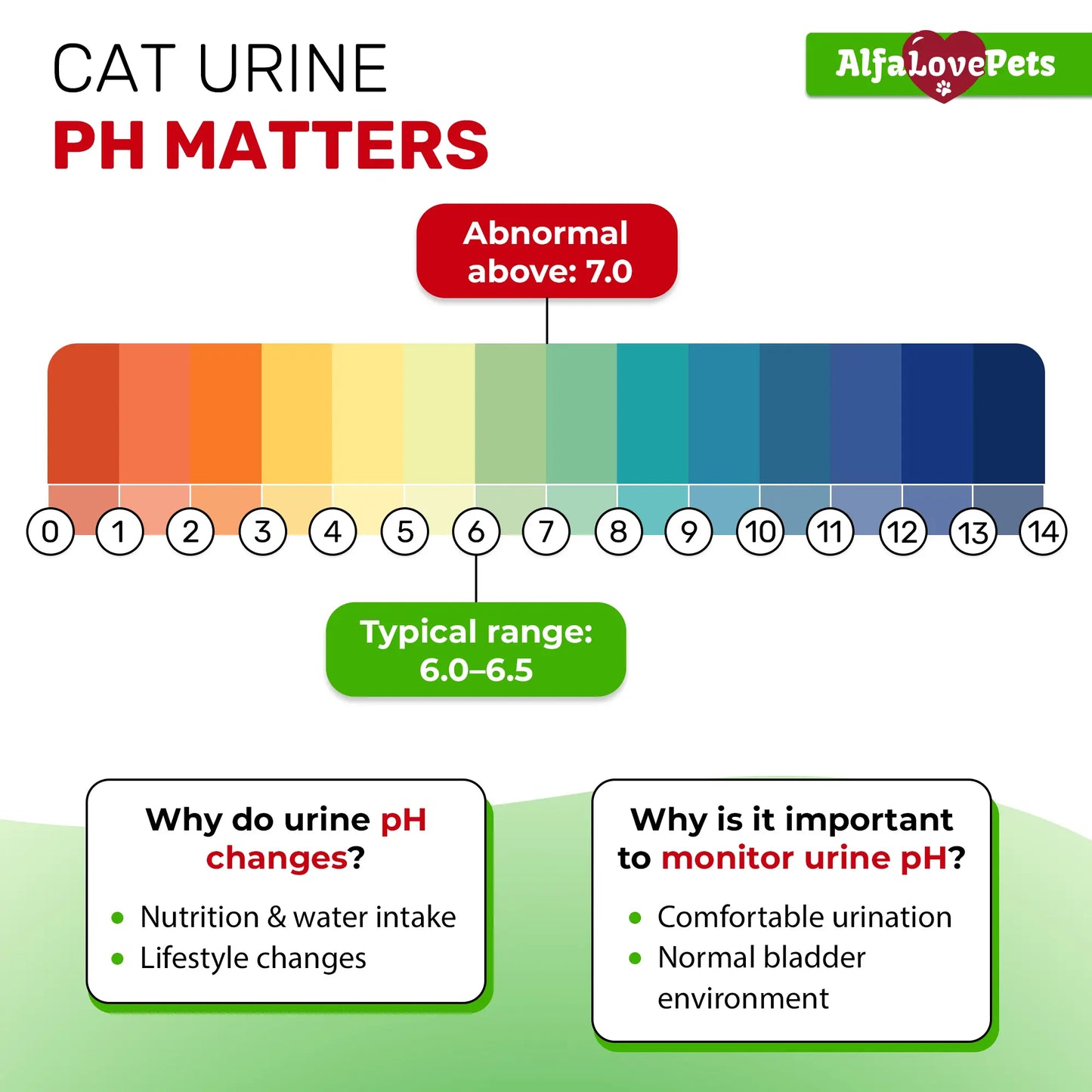 UTI+ Urinary Support