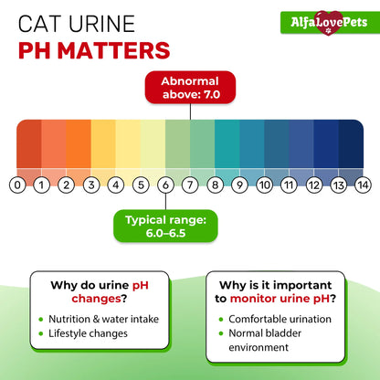 UTI+ Urinary Support