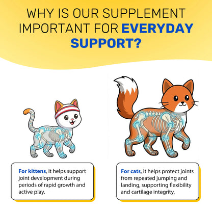 Glucosamine Joint Support