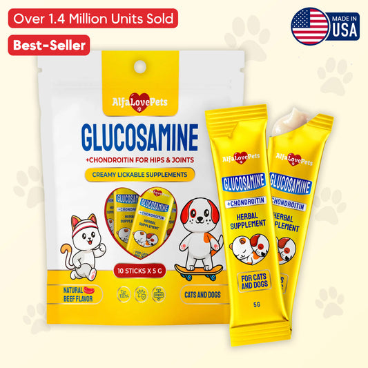 Glucosamine + Chondroitin for Hips & Joints